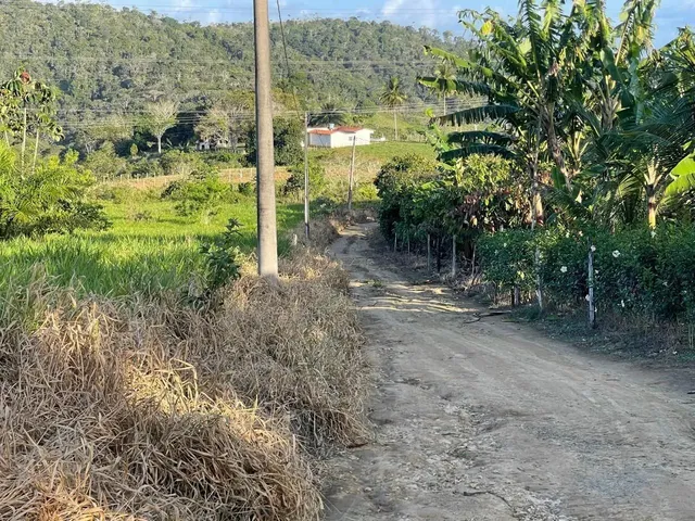 Imagem 14: Vendo Maraviloso Sitio em Valenca