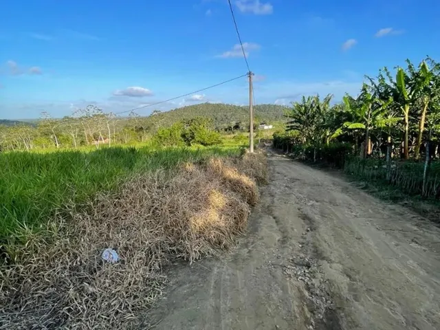 Imagem 16: Vendo Maraviloso Sitio em Valenca