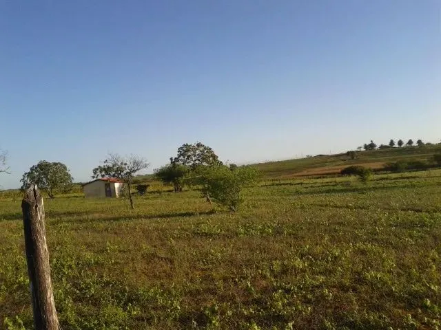 Imagem: Fazenda Caueira
