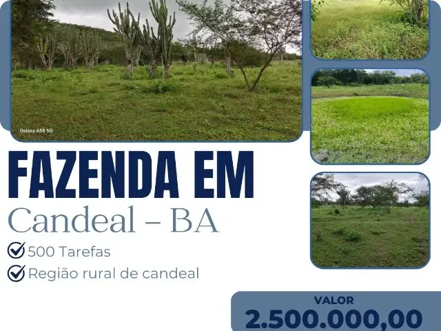 Imagem: Fazenda em Candeal -500 Tarefas