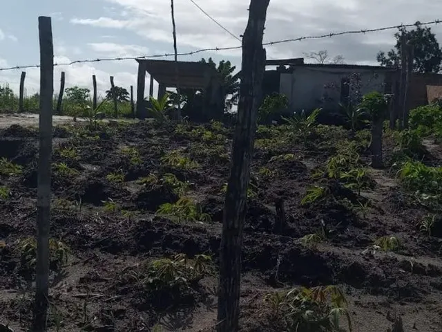 Imagem: Vendo Excelente Sítio em Jaguaripe