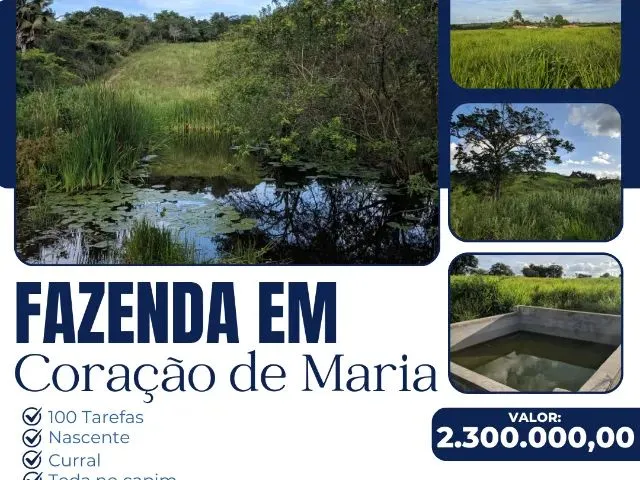 Imagem: Fazenda em Coração de Maria - 100 Tarefas