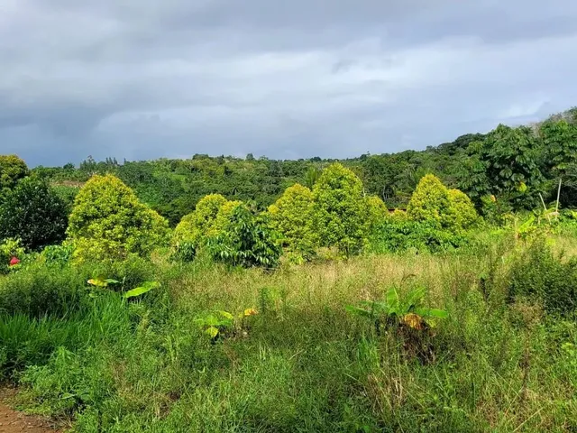 Imagem 2: Vendo Maravilhoso Sítio em Valença P