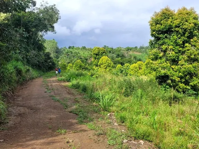 Imagem 3: Vendo Maravilhoso Sítio em Valença P