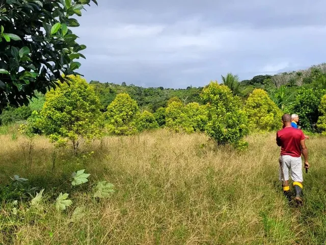 Imagem 4: Vendo Maravilhoso Sítio em Valença P
