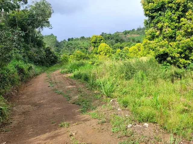 Imagem 9: Vendo Maravilhoso Sítio em Valença P