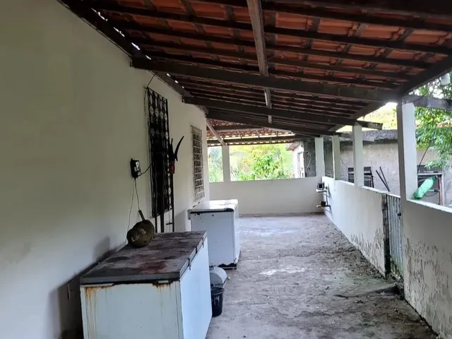 Imagem: Vendo Excelente Sítio em Valença Bahia