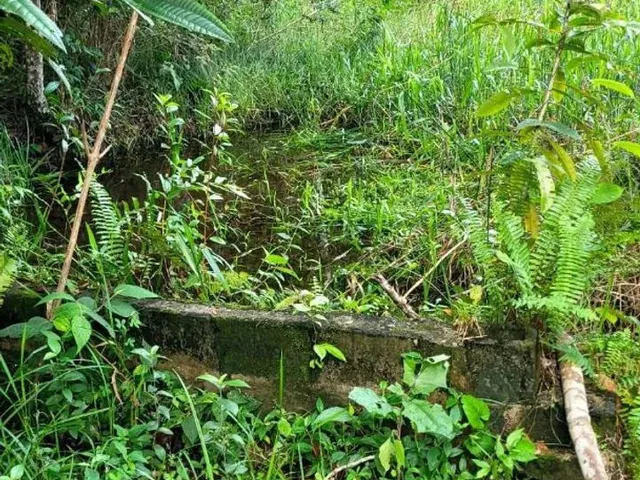 Imagem 2: Vendo Excelente Sítio em Valença Bahia