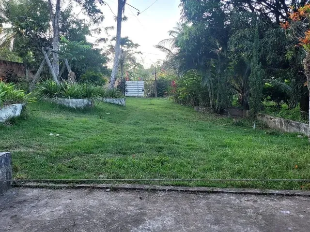 Imagem 9: Vendo Excelente Sítio em Valença Bahia