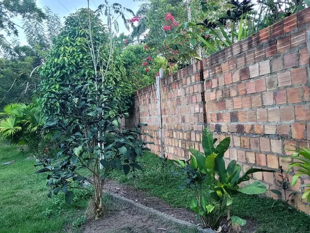 Imagem 10: Vendo Excelente Sítio em Valença Bahia