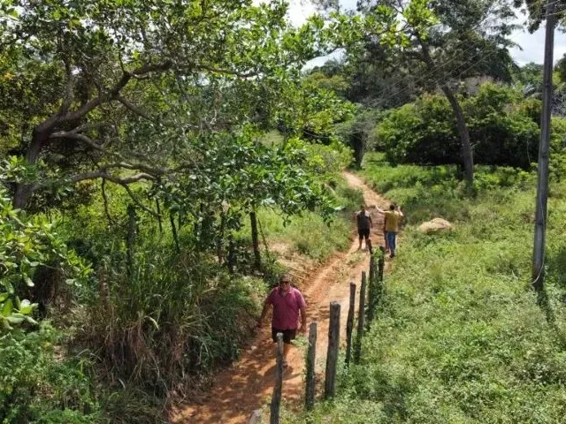 Imagem 5: Fazenda em Andaraí - 3300 Tarefas