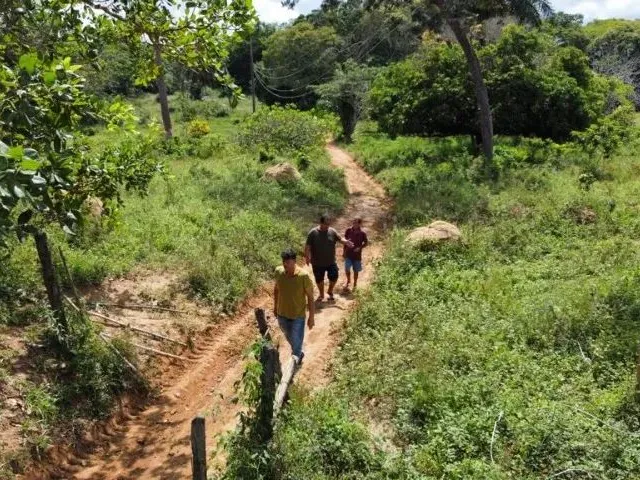 Imagem 11: Fazenda em Andaraí - 3300 Tarefas