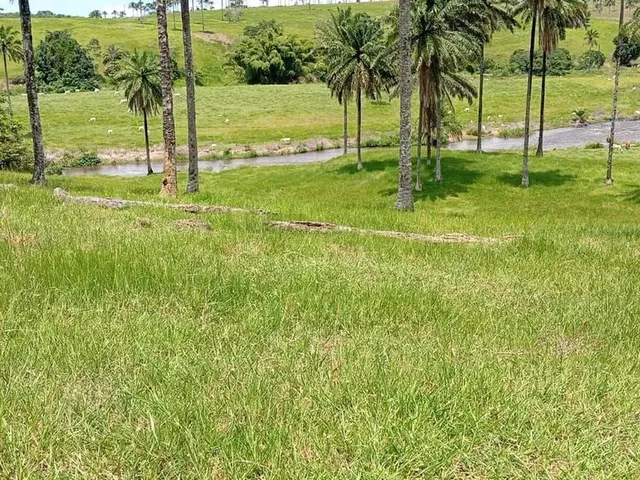 Imagem: Vendo Maravilhosa Fazendinha em Jaguaripe