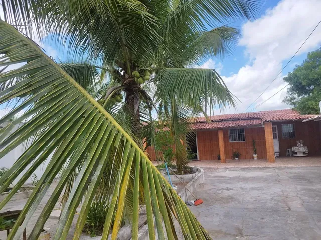 Imagem: Sítio com Casa e Área Verde