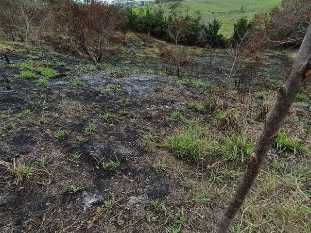 Imagem: Terreno Polivalente