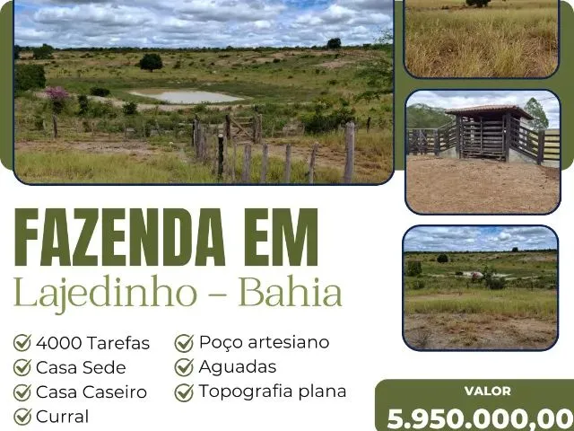 Imagem: Fazenda em Lajedinho - 4000 Tarefas