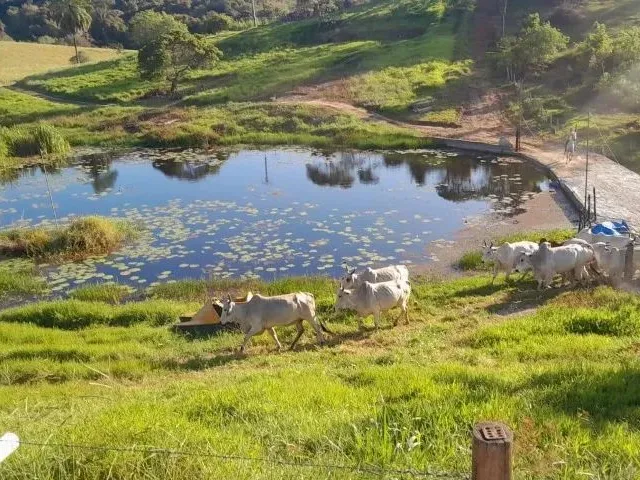 Imagem 4: Fazenda Próximo de Amargosa - 50 Tarefas