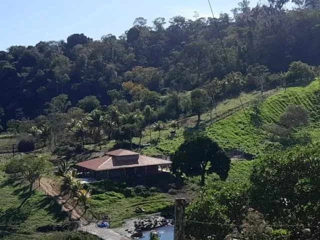 Imagem 5: Fazenda Próximo de Amargosa - 50 Tarefas