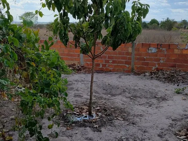 Imagem 13: Vende-Se Está Chácara na Baenga - Lagoa Redonda