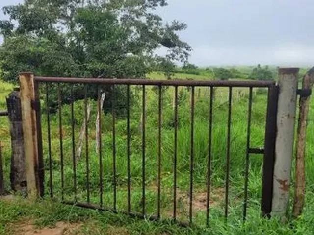 Imagem 3: Vendo Excelente Sítio em Alagoinhas