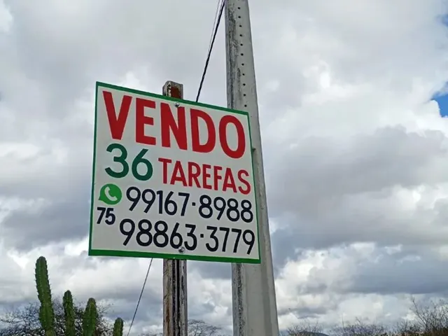 Imagem: Vendo 36 Tarefas de Terra em Itaberaba-Ba