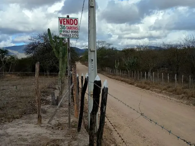 Imagem 8: Vendo 36 Tarefas de Terra em Itaberaba-Ba