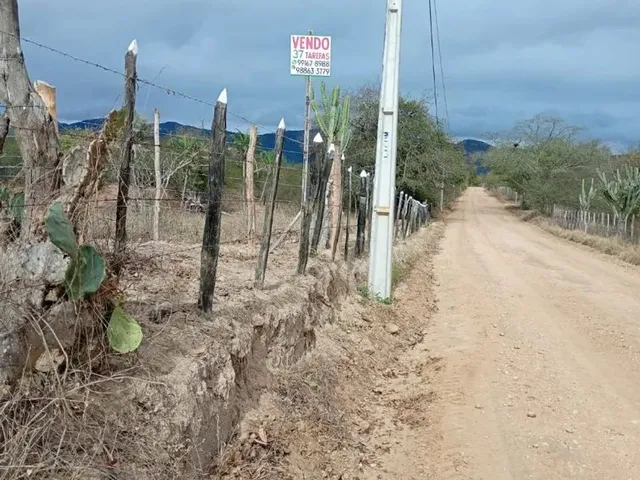 Imagem 14: Vendo 36 Tarefas de Terra em Itaberaba-Ba