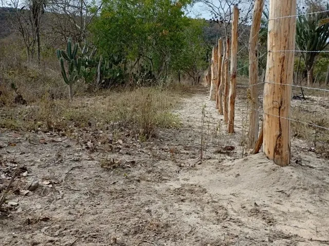 Imagem 15: Vendo 36 Tarefas de Terra em Itaberaba-Ba