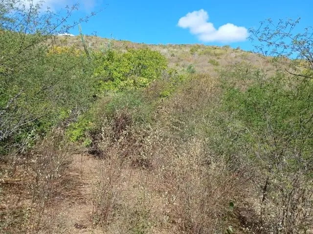 Imagem 2: Vendo 36 Tarefas de Terra em Itaberaba-Ba