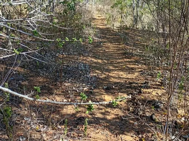 Imagem 4: Vendo 36 Tarefas de Terra em Itaberaba-Ba