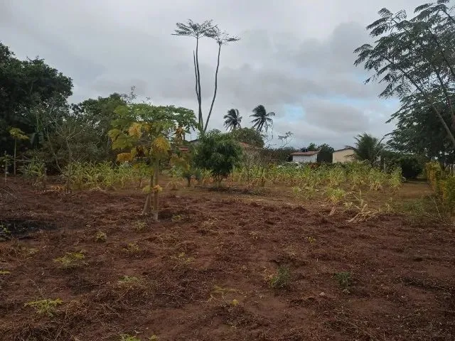 Imagem 14: Mini Sítio pra Relaxar