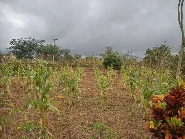 Imagem 5: Mini Sítio pra Relaxar