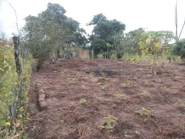 Imagem 6: Mini Sítio pra Relaxar