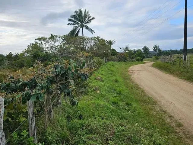 Imagem: Vendo Excelente Lote em Nazaré das Farinha
