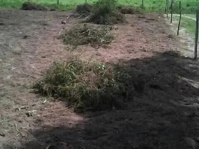 Imagem: Vende-Se Terreno na Fazendinha São José