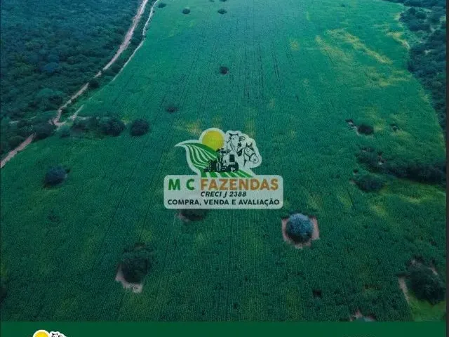 Imagem: Fazenda C/ 295 Tarefas À Venda em Jeremoabo