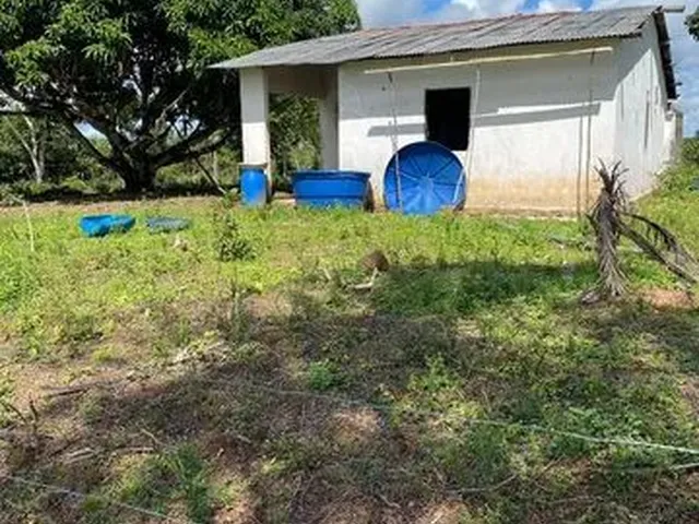 Imagem 11: Fazenda de 115 T, Próxima a Linha Verde, Estrada do Coco, com Casa, Curral e Rio