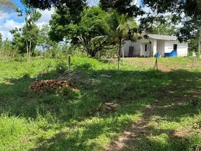 Imagem 15: Fazenda de 115 T, Próxima a Linha Verde, Estrada do Coco, com Casa, Curral e Rio