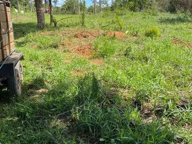 Imagem 10: Fazenda de 115 T, Próxima a Linha Verde, Estrada do Coco, com Casa, Curral e Rio
