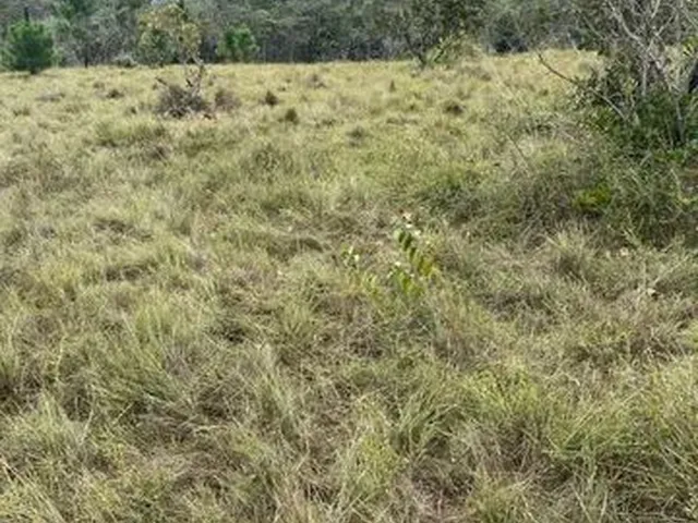 Imagem 14: Fazenda de 115 T, Próxima a Linha Verde, Estrada do Coco, com Casa, Curral e Rio
