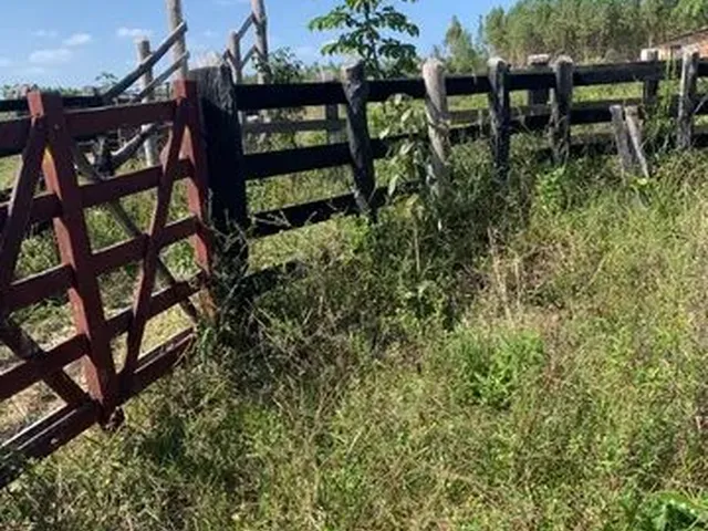 Imagem 9: Fazenda de 115 T, Próxima a Linha Verde, Estrada do Coco, com Casa, Curral e Rio