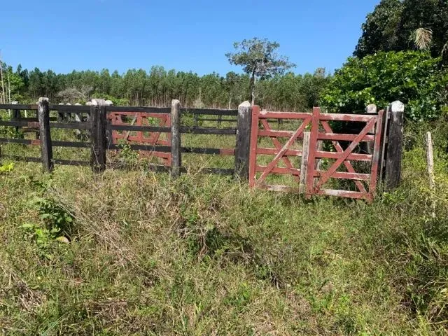 Imagem 16: Fazenda de 115 T, Próxima a Linha Verde, Estrada do Coco, com Casa, Curral e Rio