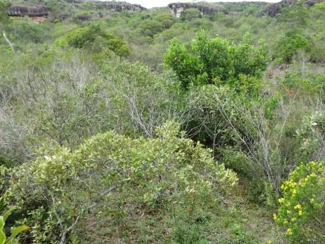 Imagem 14: Lençois Bahia Area Rural 17900M 4Km da o Centro da Cidade