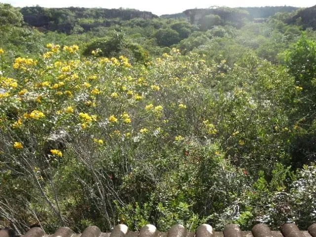 Imagem 9: Lençois Bahia Area Rural 17900M 4Km da o Centro da Cidade
