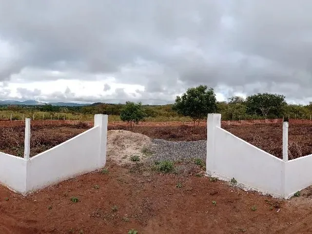 Imagem 4: Sítio Todo Murado Dentro de Condomínio de Chácaras