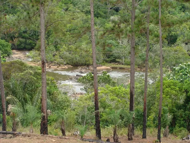 Imagem 2: Cachoeiras do Sauipe