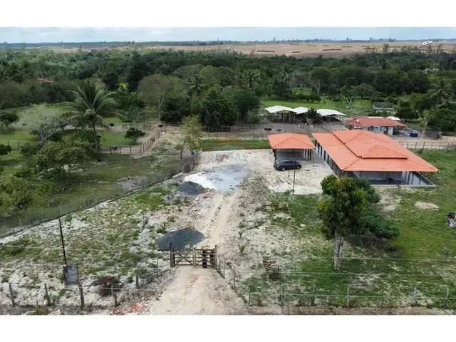 Imagem: Sítio dos Sonhos 20 Tarefas Á 15 Min