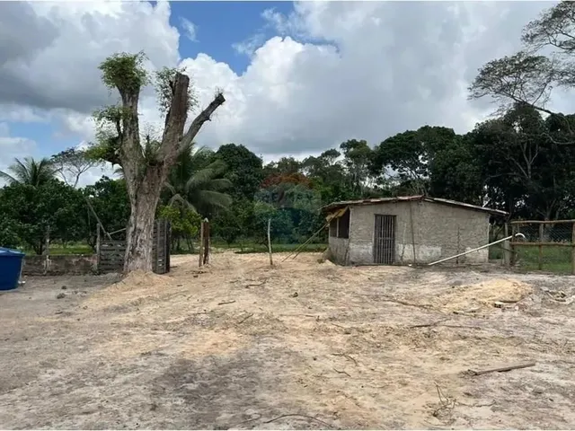 Imagem 2: Sítio dos Sonhos: 20 Tarefas Á 15 Min do Centro, Imperdível!