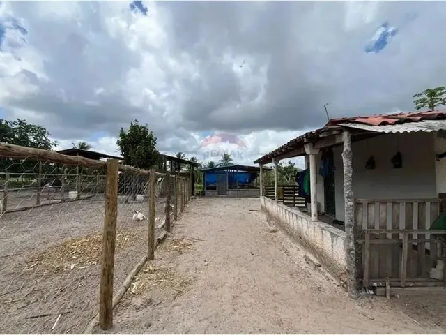Imagem 3: Sítio dos Sonhos: 20 Tarefas Á 15 Min do Centro, Imperdível!
