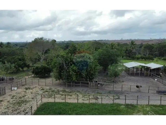 Imagem 10: Sítio dos Sonhos: 20 Tarefas Á 15 Min do Centro, Imperdível!